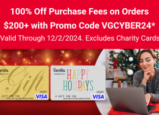 VanillaGift promo code VGCYBER24