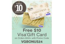 VanillaGift Visa gift card promo code VGBONUS24