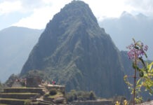 Machu Picchu Scenery