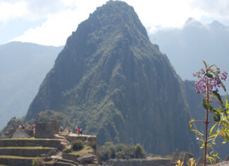 Machu Picchu Scenery