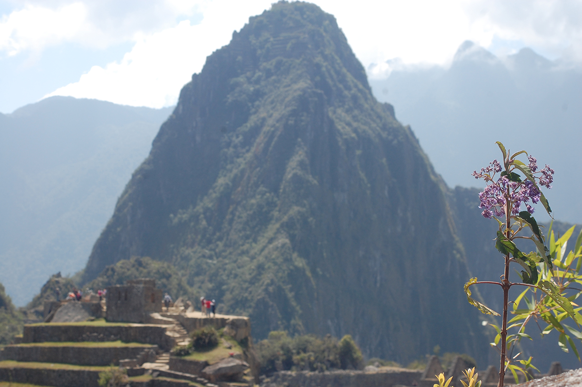 Machu Picchu Scenery