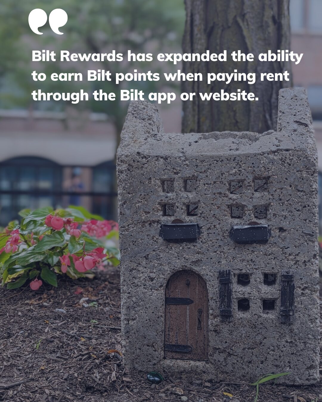 Bilt Instagram 1 Bilt Instagram 1