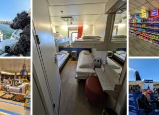 DFDS Ferry review Amsterdam (IJmuiden) to Newcastle in a 4 bed pet-friendly cabin
