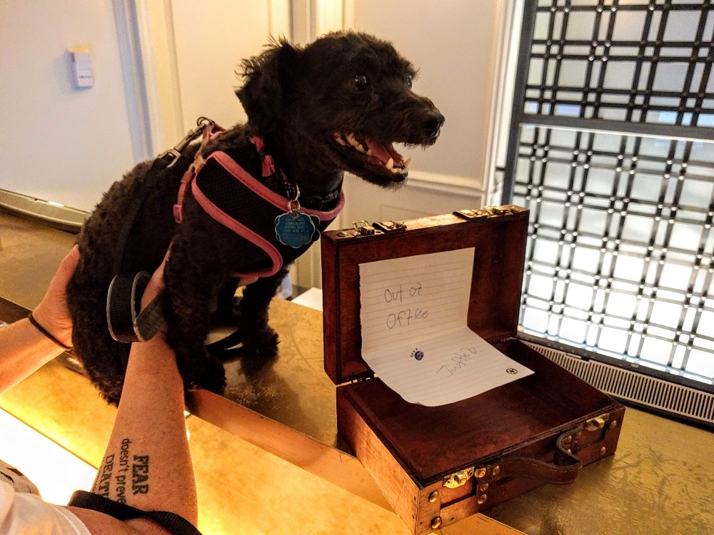 Truffles sharing the Kimpton secret password