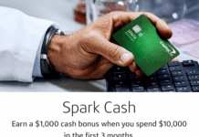 Capital One Spark Cash welcome offer