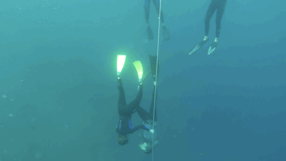 Freediving in Bali
