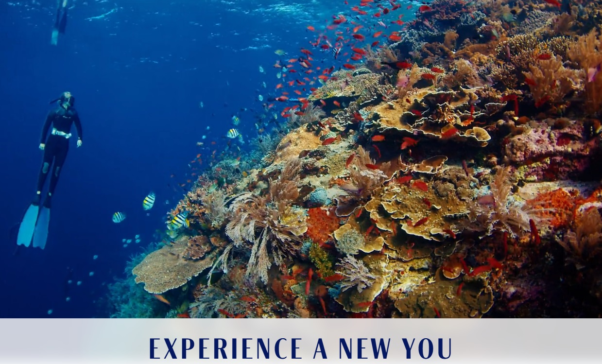Hyatt FIND Experiences portal