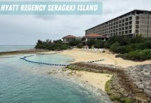 Hyatt Regency Seragaki Island (Okinawa): Bottom Line Review
