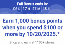 Southwest shopping portal promotion