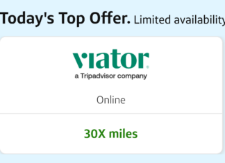 Capital One Shopping Viator 30x