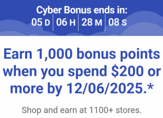 Southwest shopping portal promotion 12.01.25