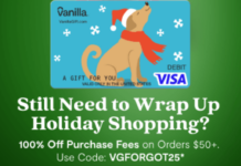 VanillaGift promo code VGFORGOT25
