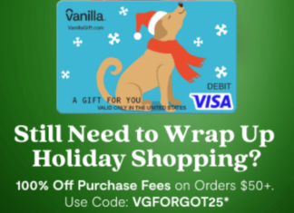 VanillaGift promo code VGFORGOT25