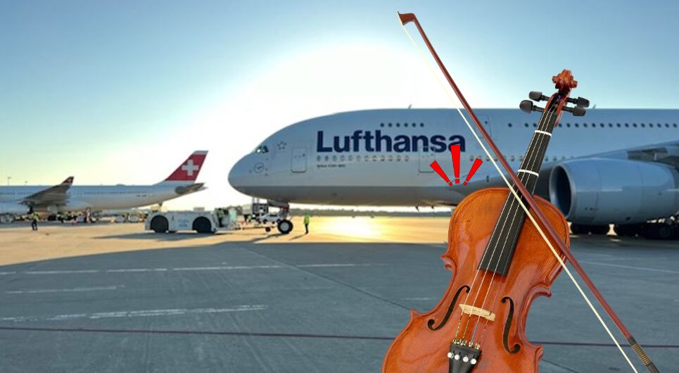 violin flies naked