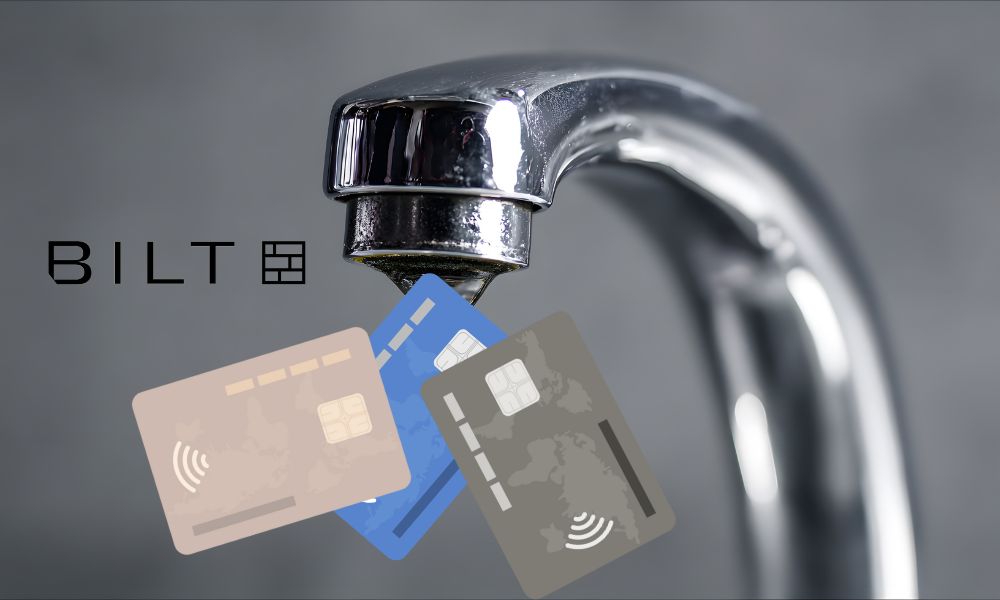 Bilt credit cards leaked details