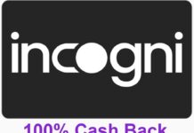 Rakuten Incogni 100x