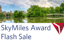Delta SkyMiles Flash Sale