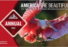 You can buy National Parks pass from REI & pay with REI gift card from Capital One Shopping + earn rewards National Park annual pass