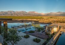 The Vines Resort & Spa in Mendoza, Argentina (image courtesy of Leading Hotels of the World)