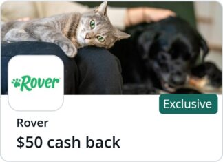 Rover Chase Offer