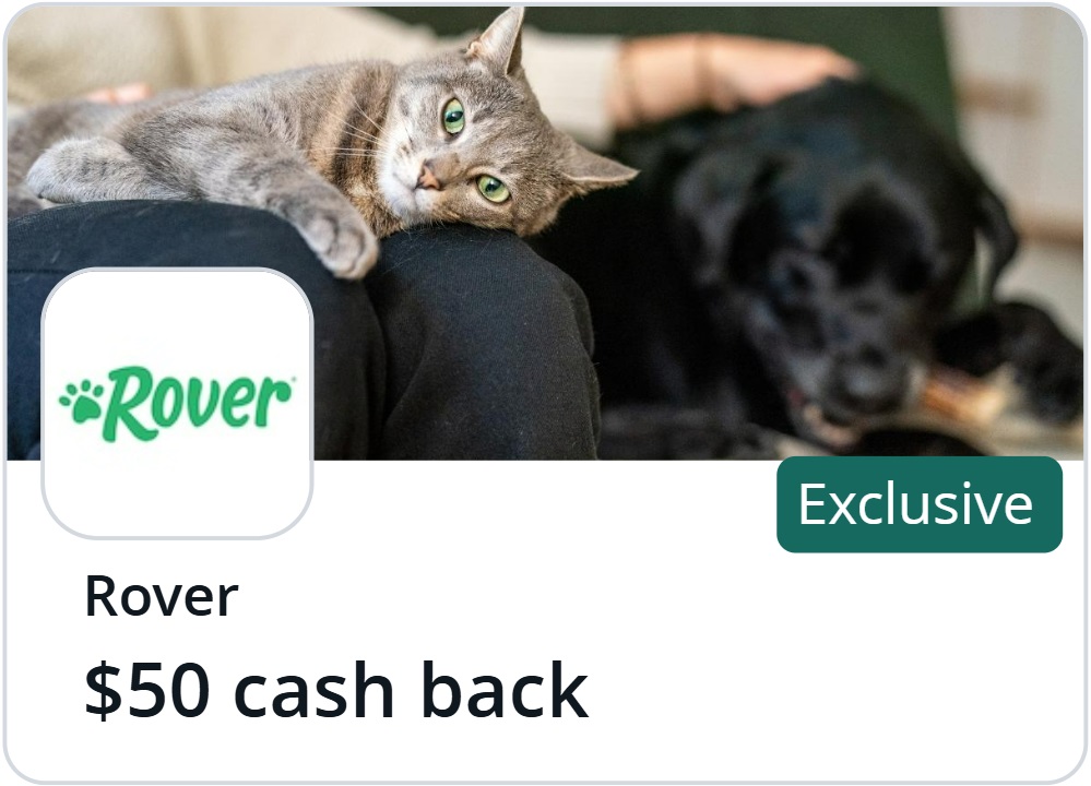 Rover Chase Offer