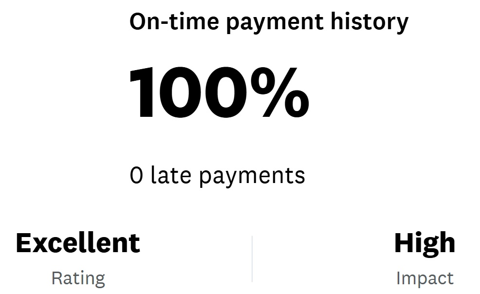 100% credit card payment history