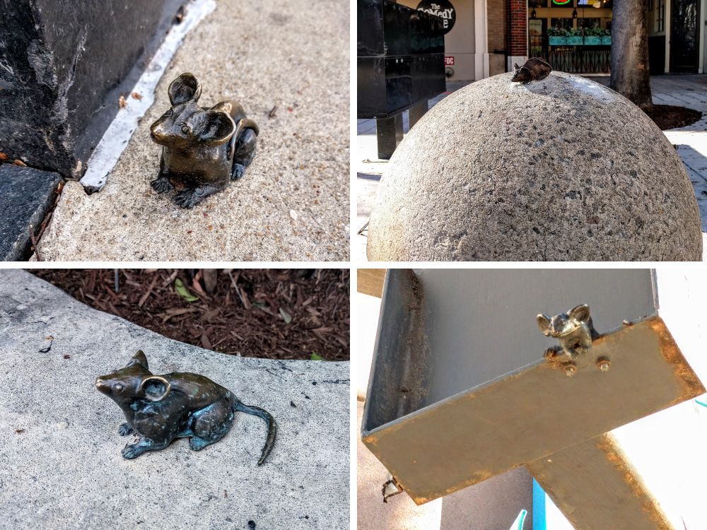 Mice on Main in Greenville, SC