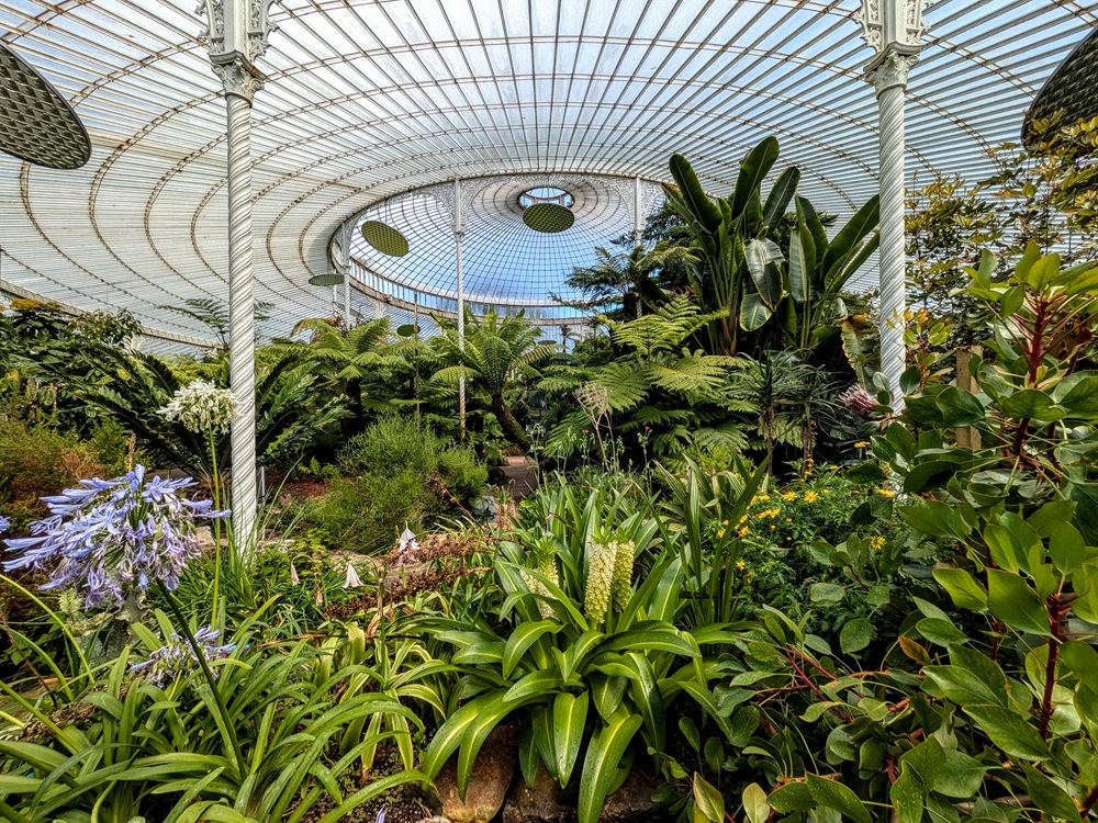 Inside the Kibble Palace at Glasgow Botanic Gardens
